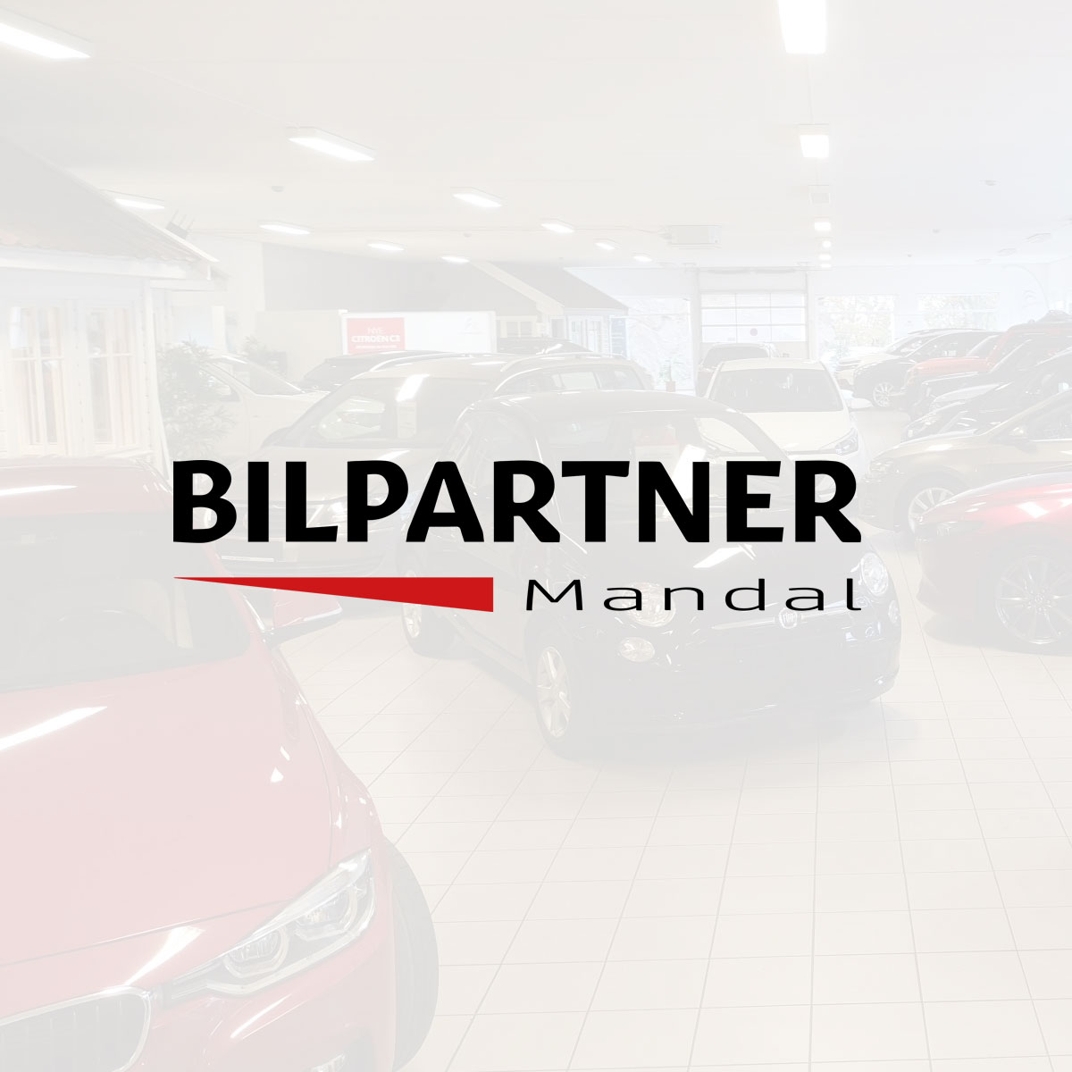 Bilpartner